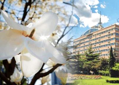 本科学历